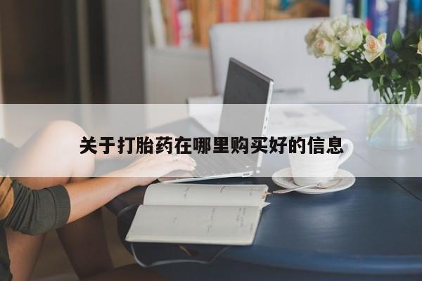第256页